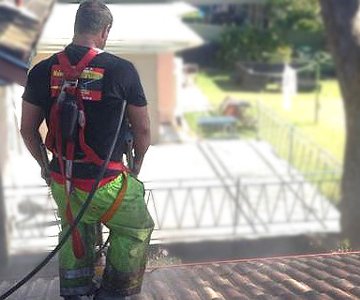Roof Cleaning